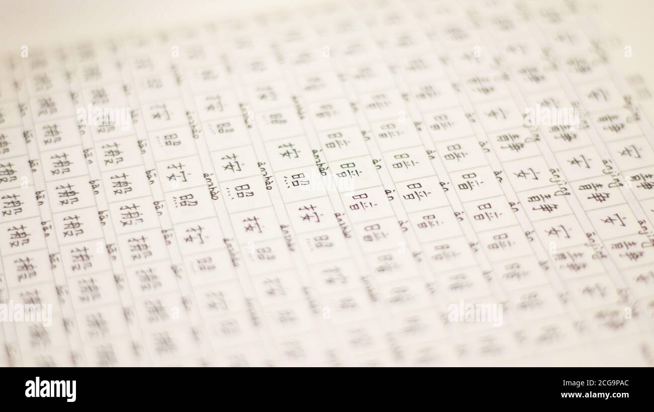 Notebook con caratteri cinesi scritti. Foto Stock