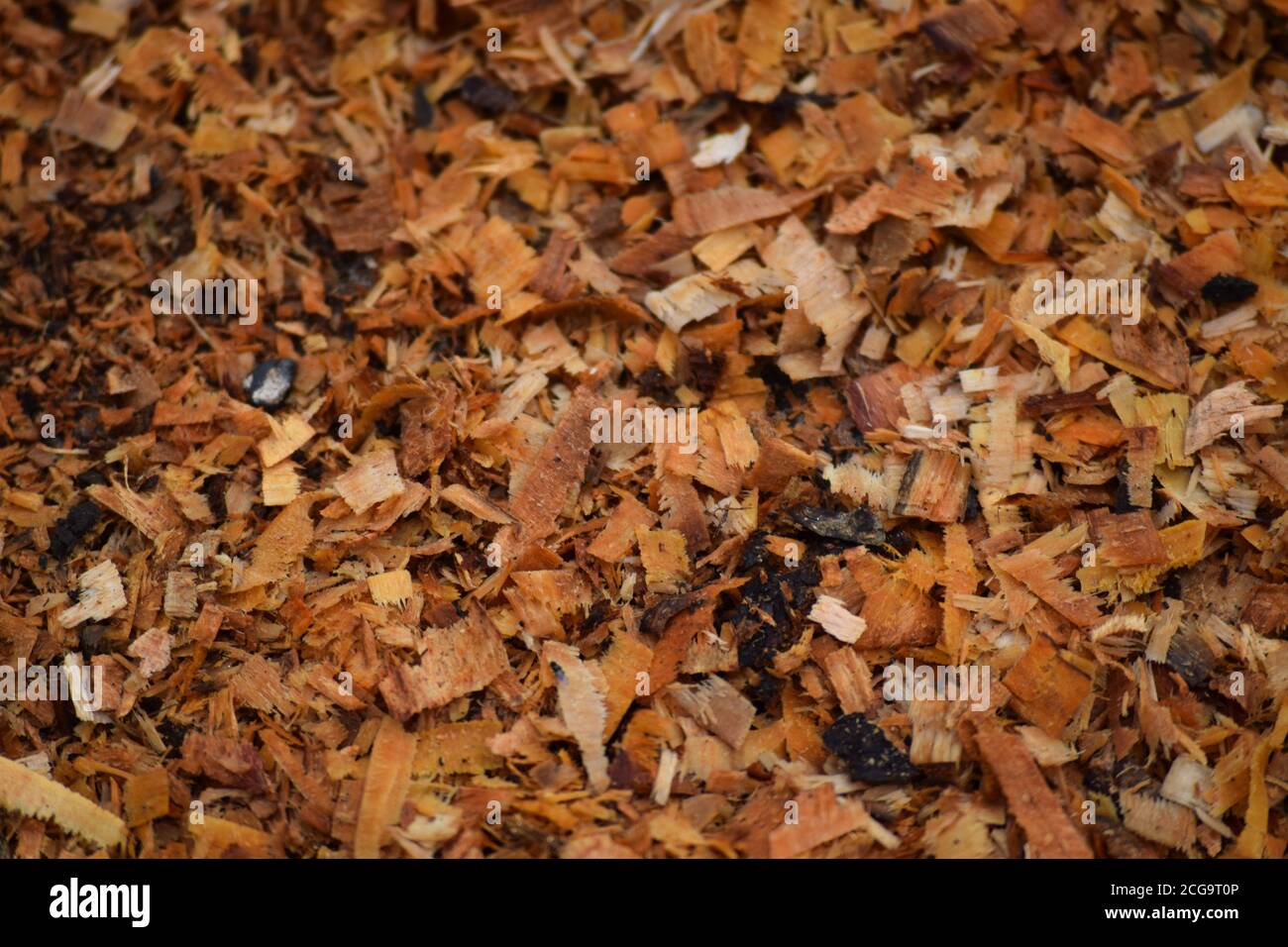 Segatura da legna da ardere in un giardino irlandese Foto Stock