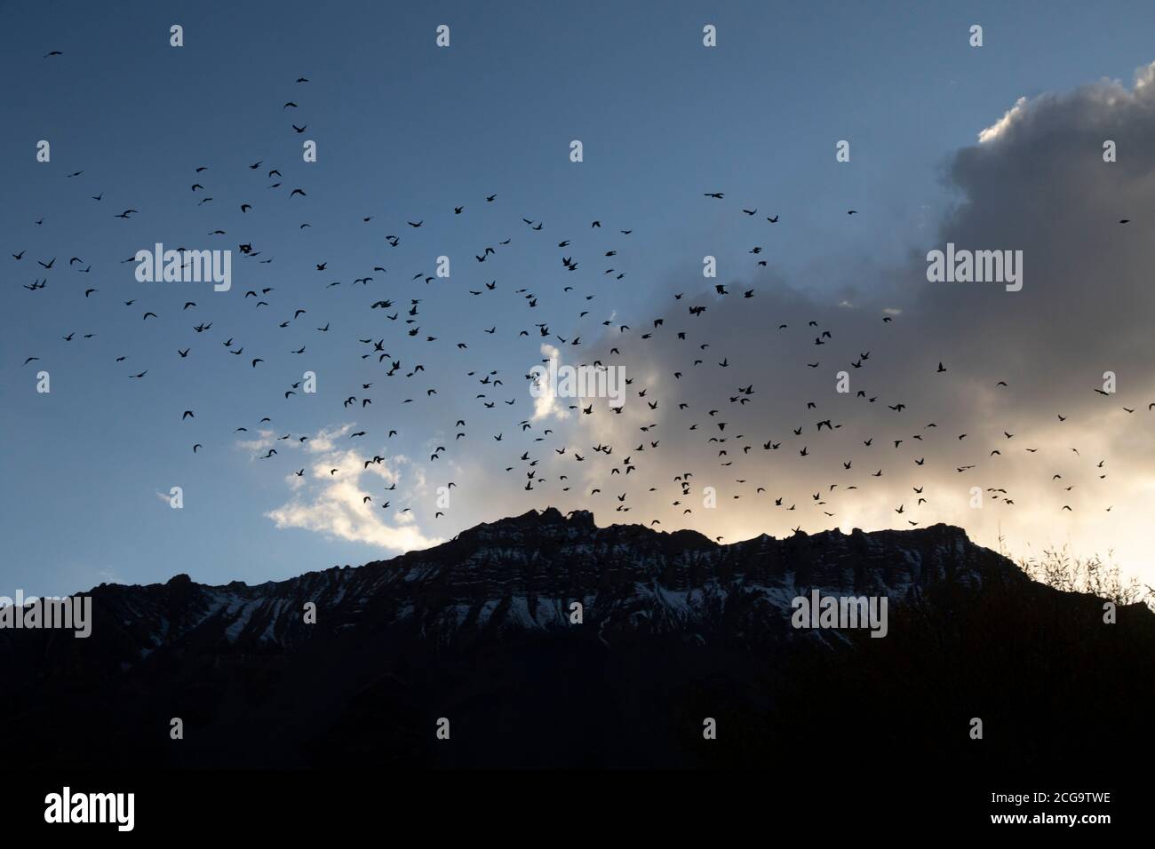 Texture naturali e strani motivi al largo delle colline e dei fiumi della Valle degli Spiti - luce e ombra, veicolo turistico e uccelli Foto Stock