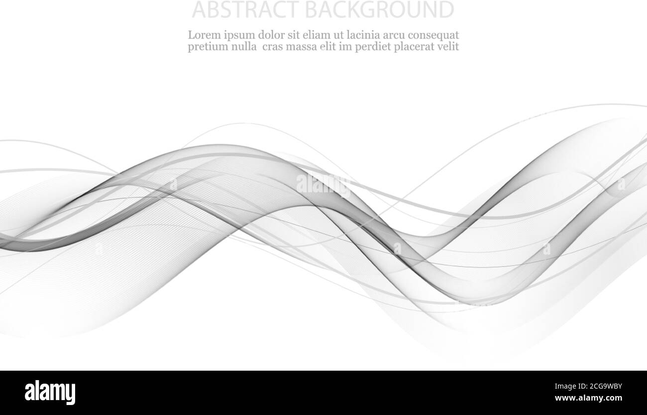 Design astratto e moderno certificato grigio trasparente con linee di velocità Swoosh. Illustrazione vettoriale Illustrazione Vettoriale