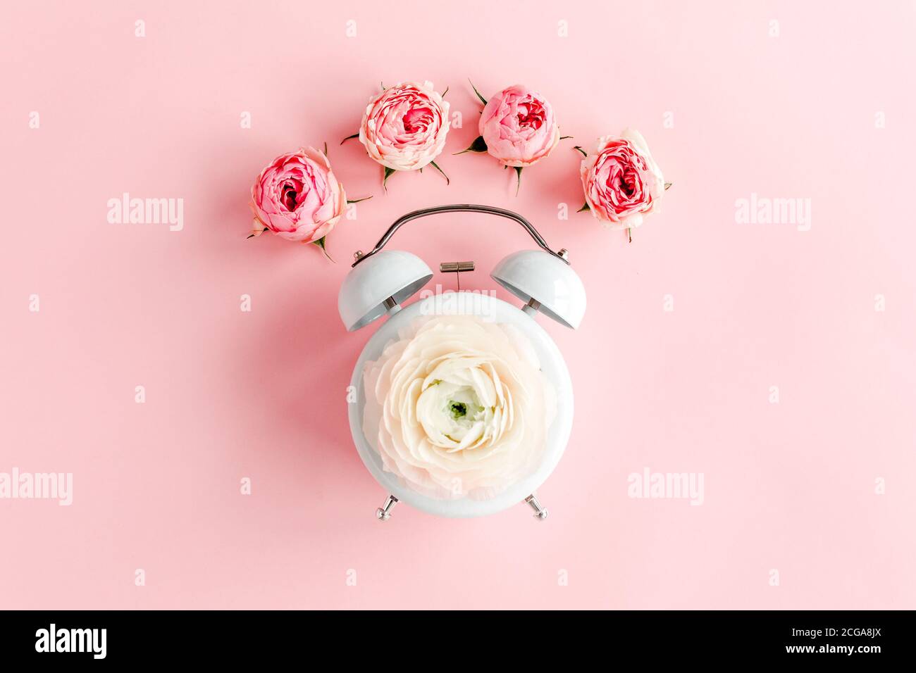 Composizione della vista dall'alto - Estate dal ranuncolo rosa e rose boccioli di fiori su sfondo rosa. Template femminile blog social media. Minimo Foto Stock