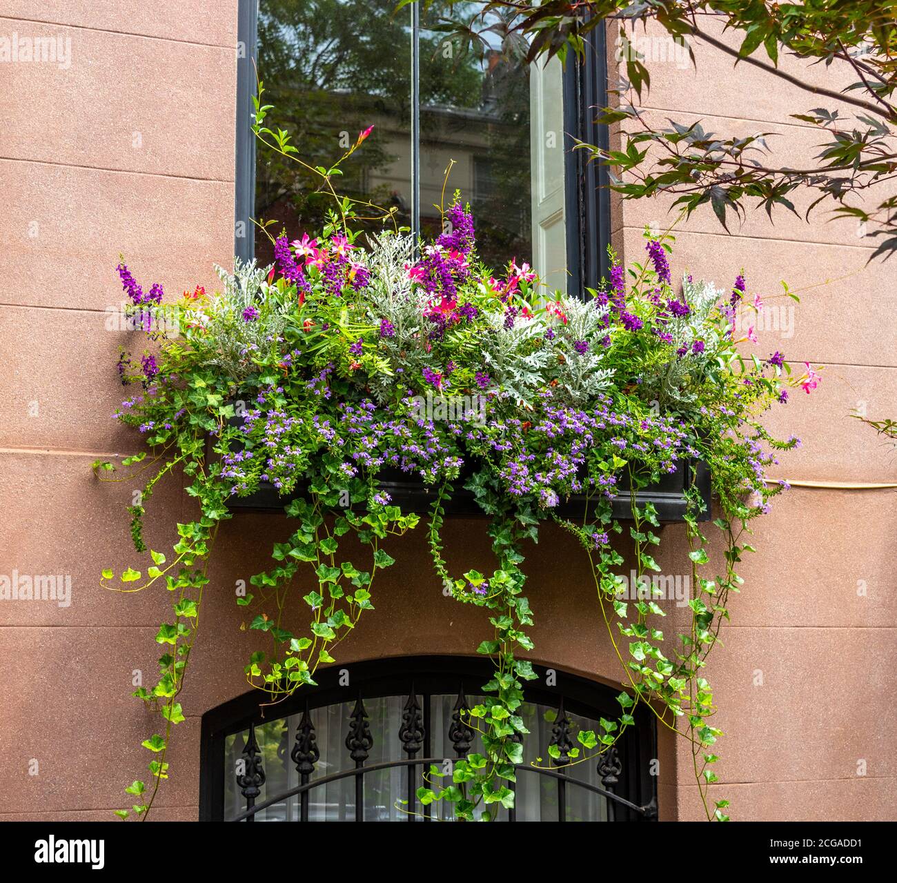 Finestra per una casa di vecchia fila su state Street a Brooklyn Heights, NY Foto Stock