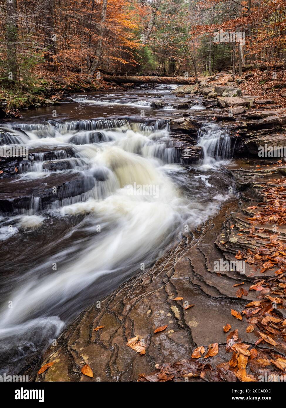 L'acqua scorre al Ricketts Glen state Park, Pennsylvania Foto Stock