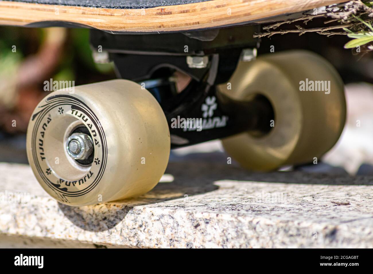 Ruote posteriori per skateboard Tijuana Foto Stock
