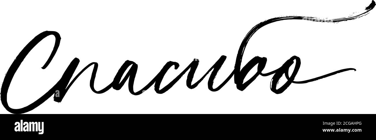 Grazie inchiostro pennello vettoriale lettering. Illustrazione Vettoriale