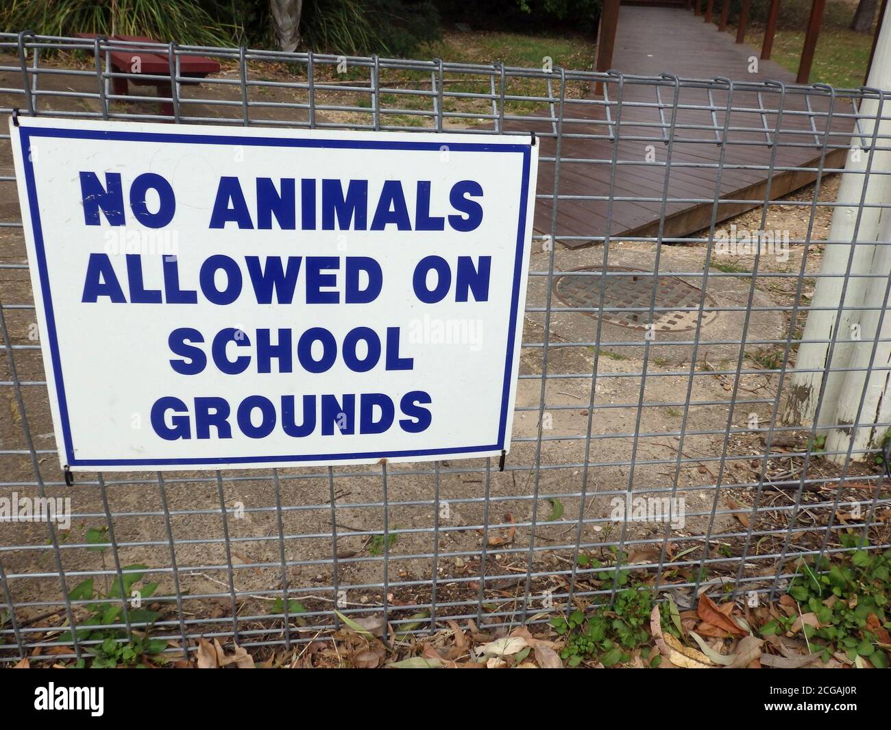 Un cartello che indica che non sono ammessi animali nelle scuole del Queensland, Australia Foto Stock
