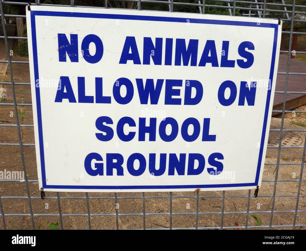 Un cartello che indica che non sono ammessi animali nelle scuole del Queensland, Australia Foto Stock