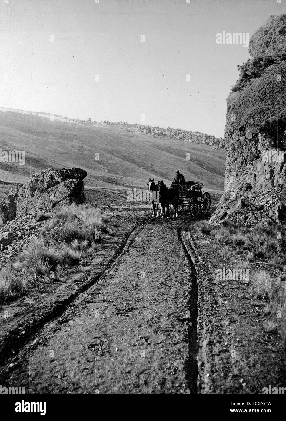 Un carro si ferma nel taglio a Parapet Rock vicino Craigieburn. Immagine del 1916 circa, della collezione della famiglia Logie. Foto Stock