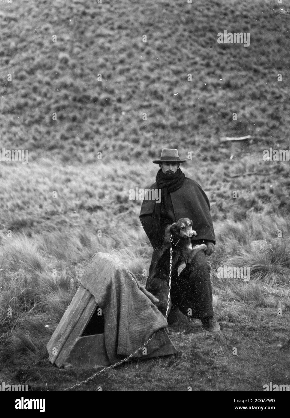 Gli ultimi cani di confine in Nuova Zelanda vicino Otira, circa 1916. Immagine della collezione della famiglia Logie. Foto Stock