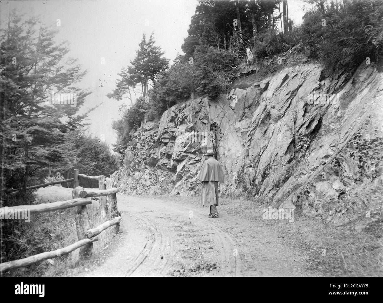 Un uomo cammina attraverso il taglio di o'Malley a Craigieburn vicino Otira, circa 1916. Immagine della collezione della famiglia Logie. Foto Stock