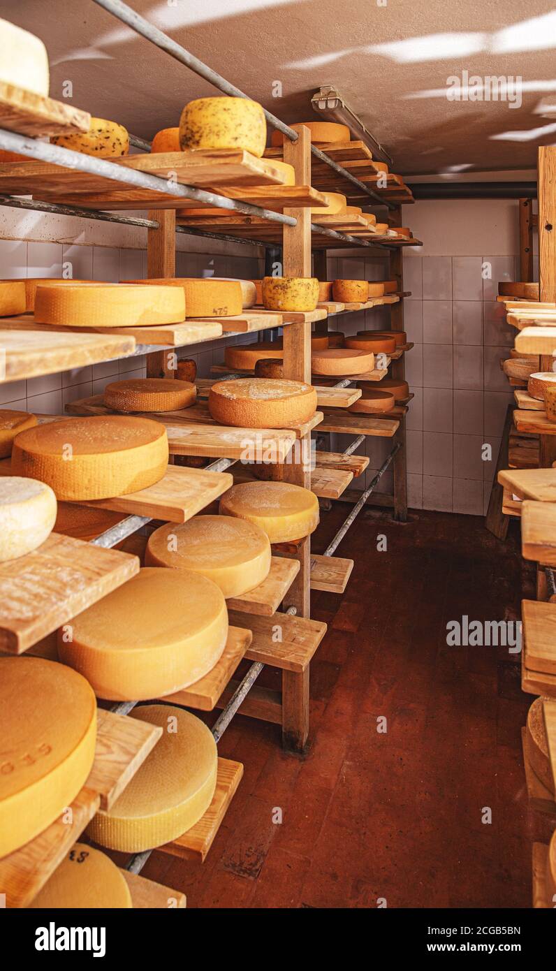 Fila di formaggi stagionati su scaffali di legno in cantina di maturazione Foto Stock