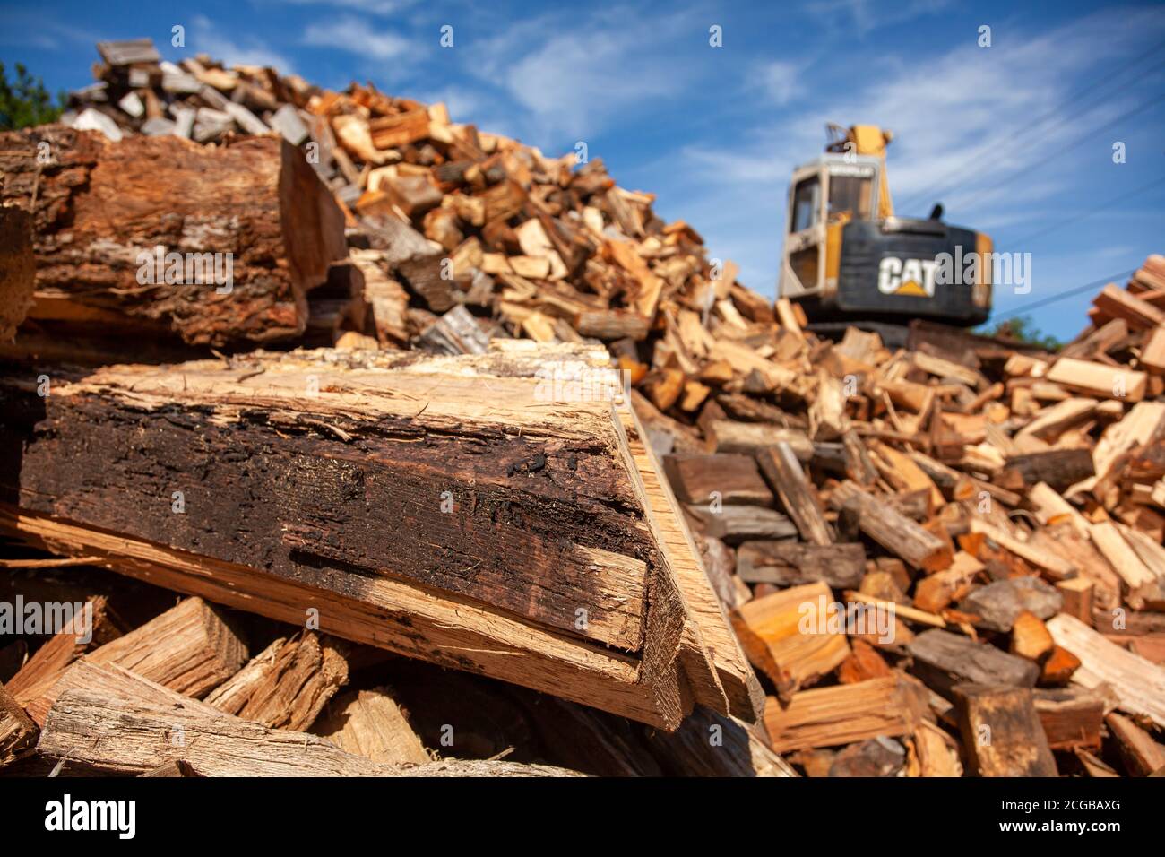 Queenstown, MD, USA 09/05/2020: Un sito di disboscamento dove gli alberi provenienti dalla foresta vicina sono tagliati e tagliati in tronchi di legno. Un escavatore Cat sta lavorando su pile Foto Stock