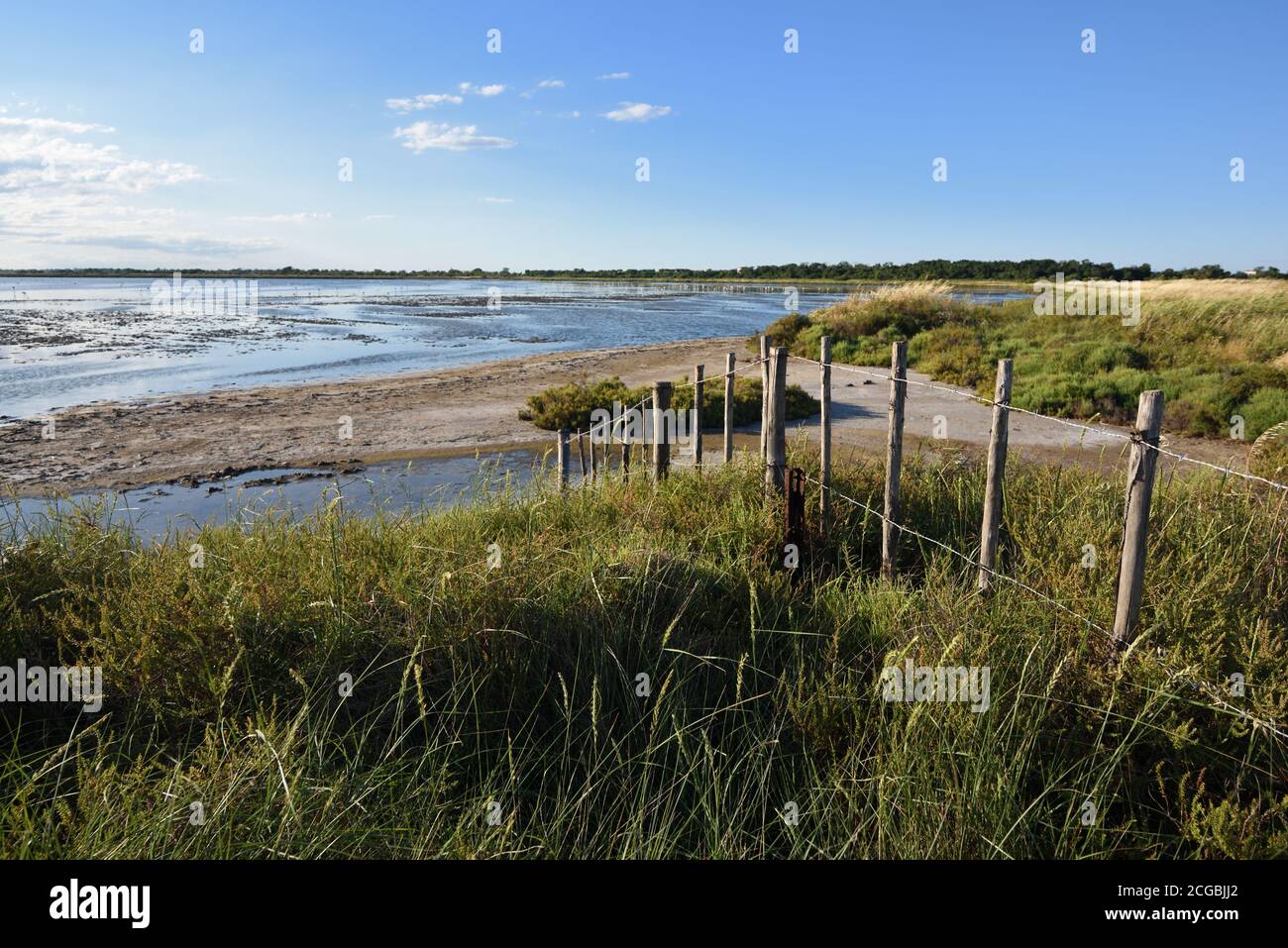 Praterie costiere, rustiche Fence & Sand Dunes Etang de la Dame Camargue Wetlands o Riserva Naturale Provenza Francia Foto Stock