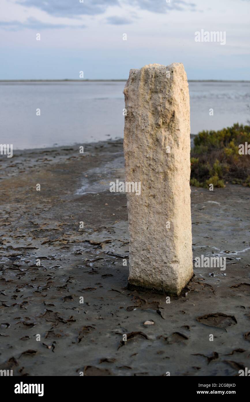 Pietra in piedi sul bordo dell'acqua dell'Etang de la Dame Lago Camargue Parco Regionale o Riserva Naturale Provenza Francia Foto Stock