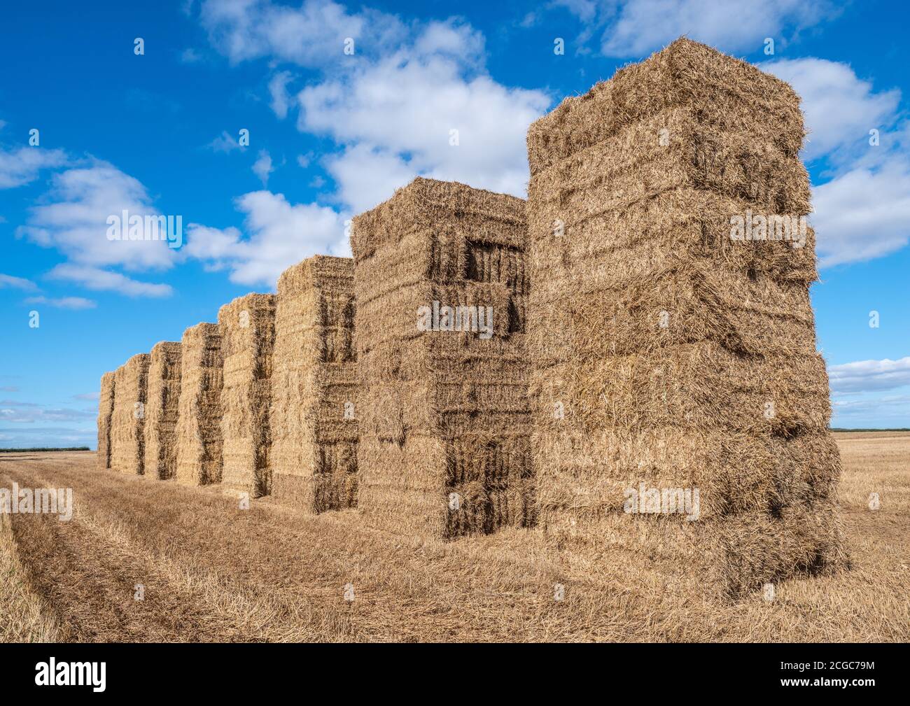 9 balle di fieno impilate in alto in un campo con cielo blu in una giornata di sole Foto Stock