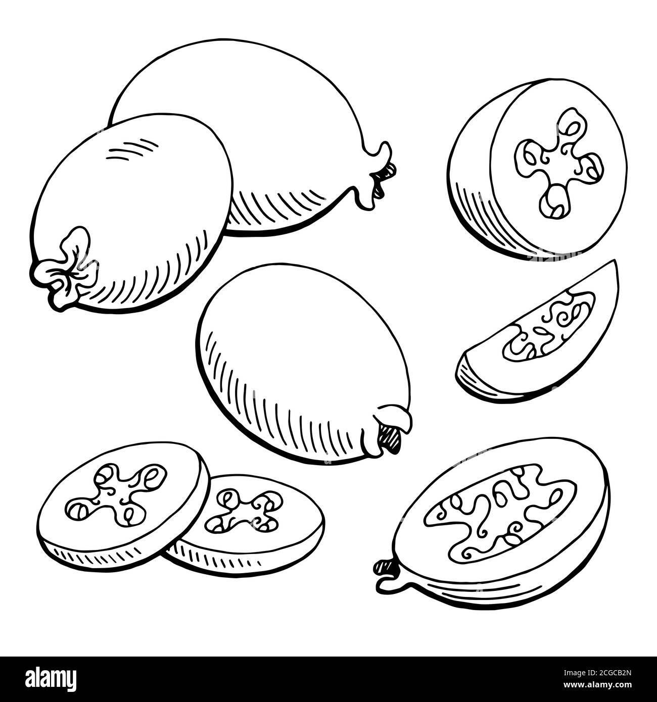 Feijoa Fruit grafica nero bianco isolato disegno vettore Illustrazione Vettoriale