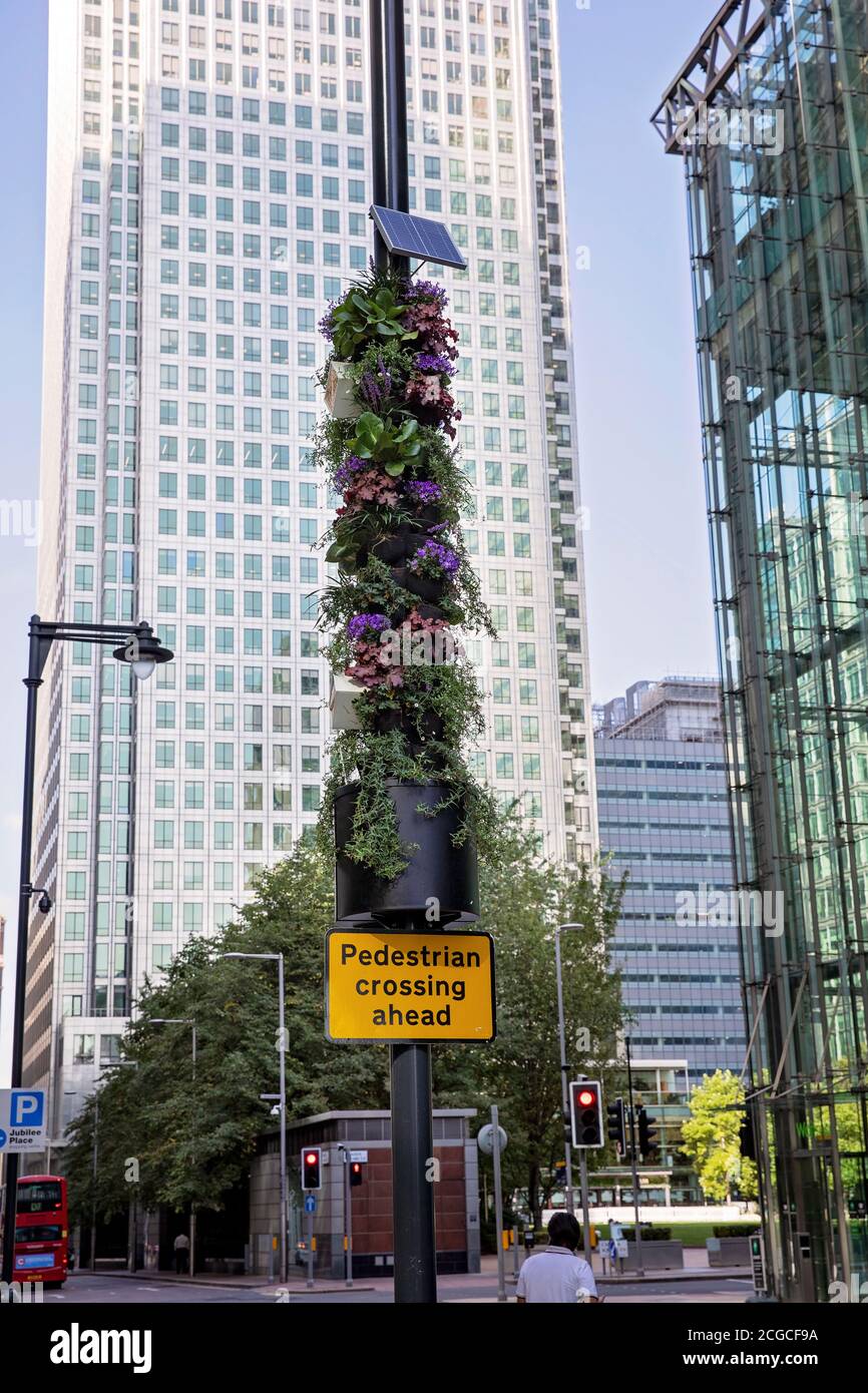 Pilastro vivente, verde urbano Foto Stock