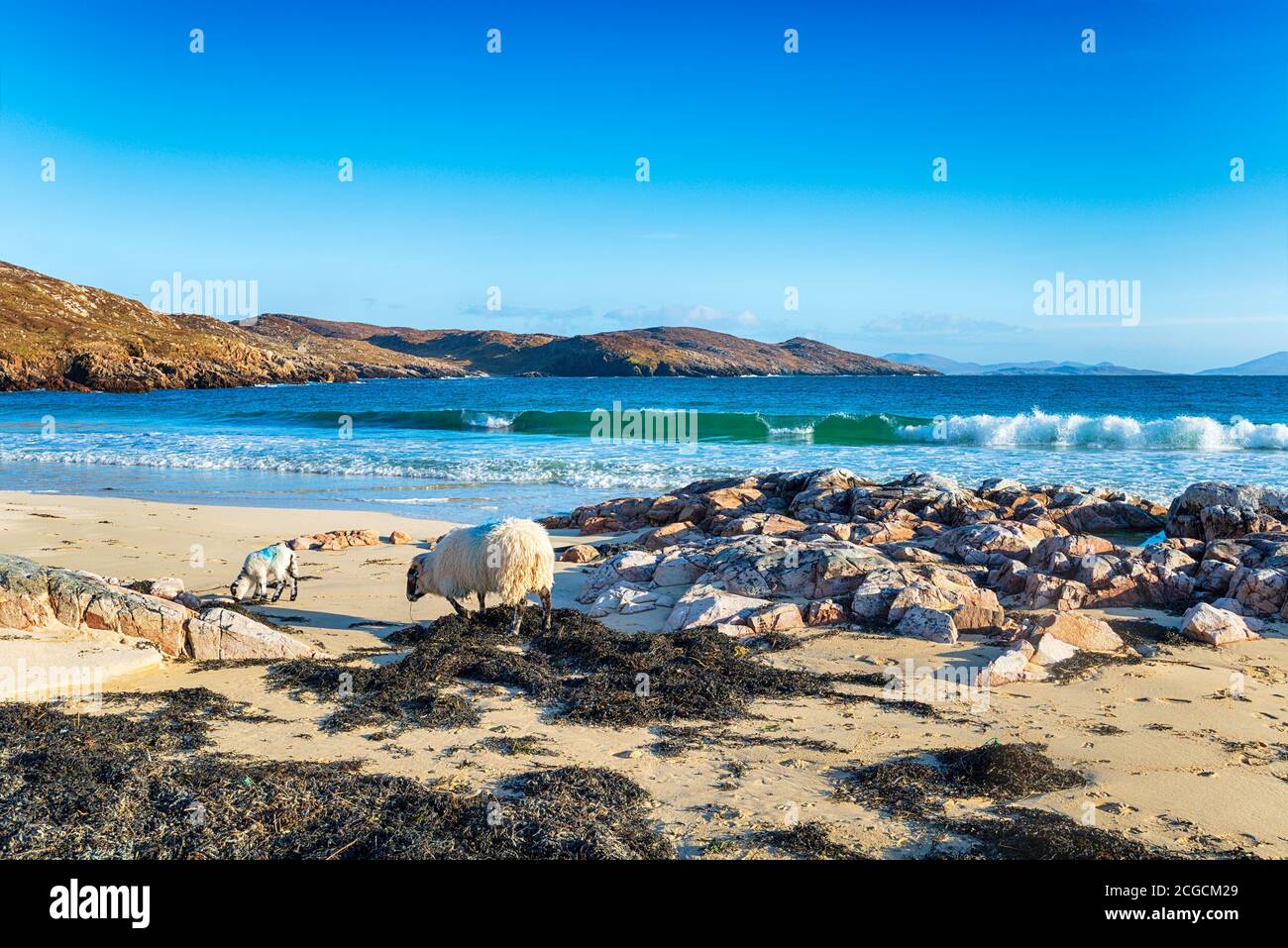 Cielo blu limpido sulla spiaggia di Hushinish sulla Isola di Harris nelle isole occidentali della Scozia Foto Stock
