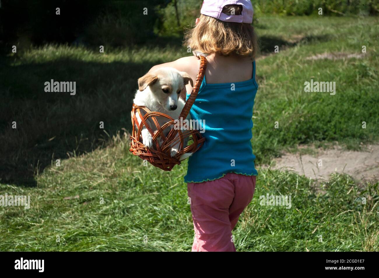 Una ragazza di 5 anni gioca con un cane e lo porta in un cestino. Preso dalla parte posteriore. Soleggiata Foto Stock