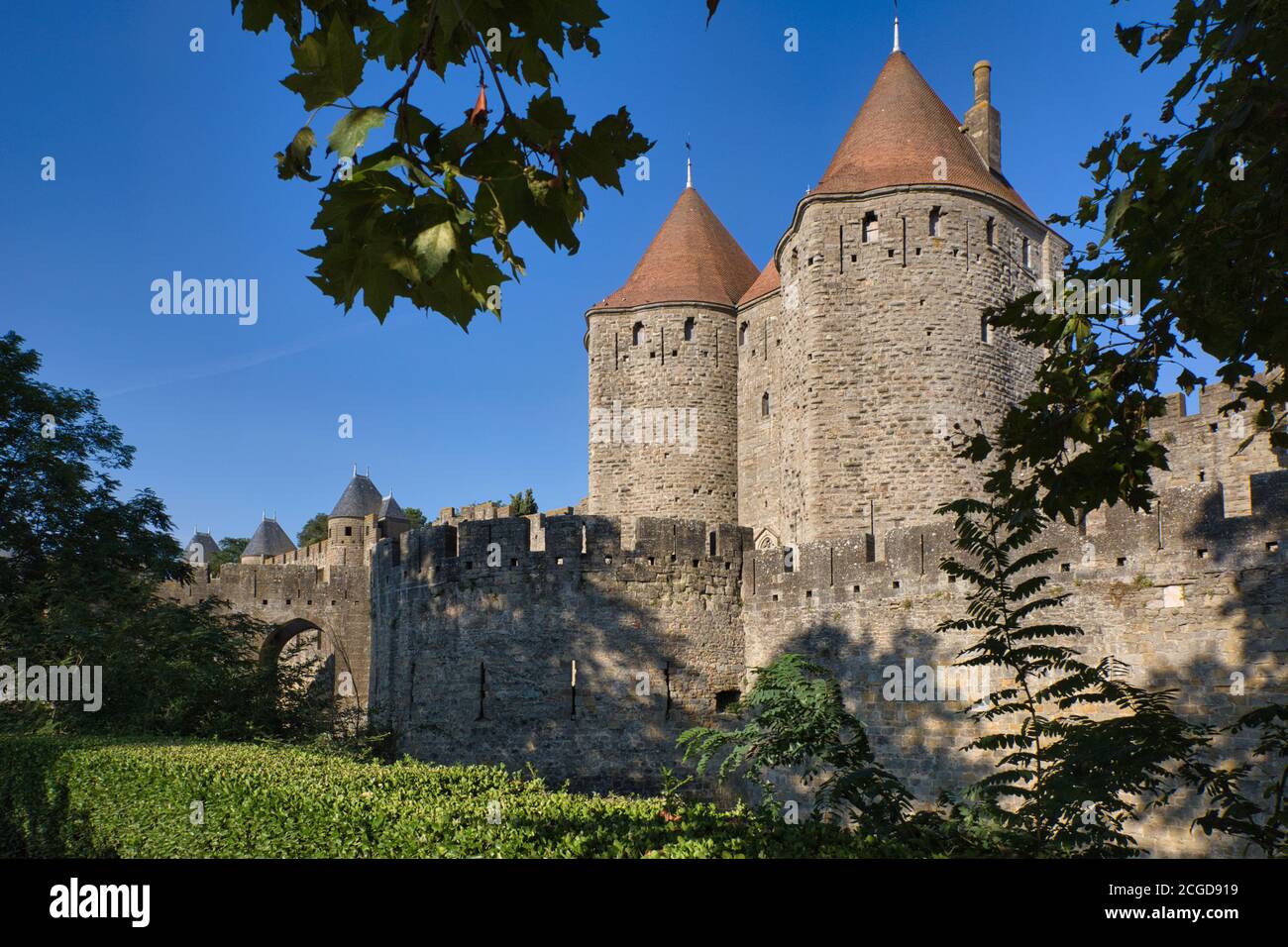 Le mura del castello e torrette rotonde a la Cite, Carcassonne, Languedoc-Roussillon, Francia, visto attraverso foglie di albero in primo piano. Foto Stock