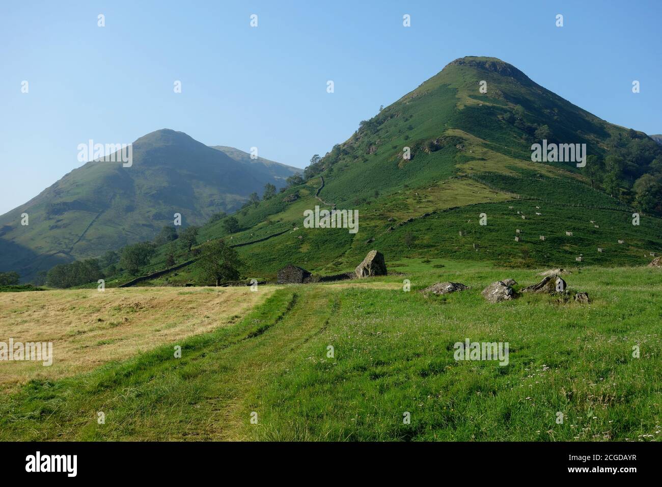 'Middle Dodd' e 'High Hartsop Dodd' dal percorso per Kirkstone & Passo Scandale vicino Hartsop Hall, Lake District National Park, Cumbria, Regno Unito. Foto Stock