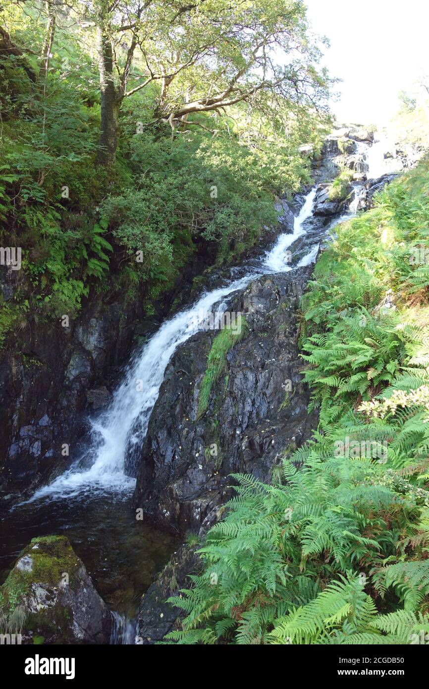 Cascate di Caiston Beck a Caiston Glen dal sentiero per lo Scandale Pass nel Lake District National Park, Cumbria, Inghilterra, Regno Unito. Foto Stock