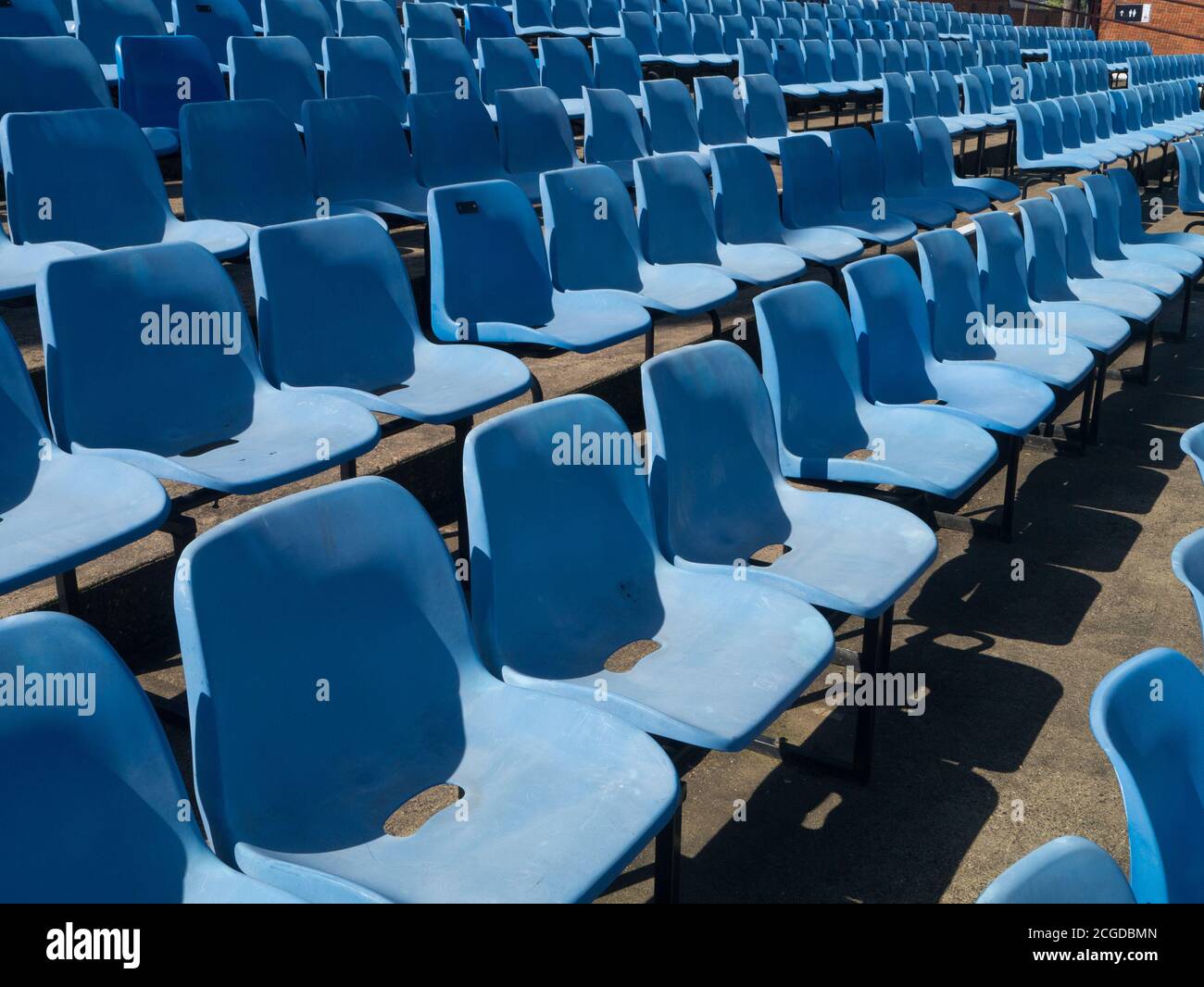 File di posti vuoti blu presso il County Ground, sede del Northamptonshire County Cricket Club, Northampton, Regno Unito Foto Stock