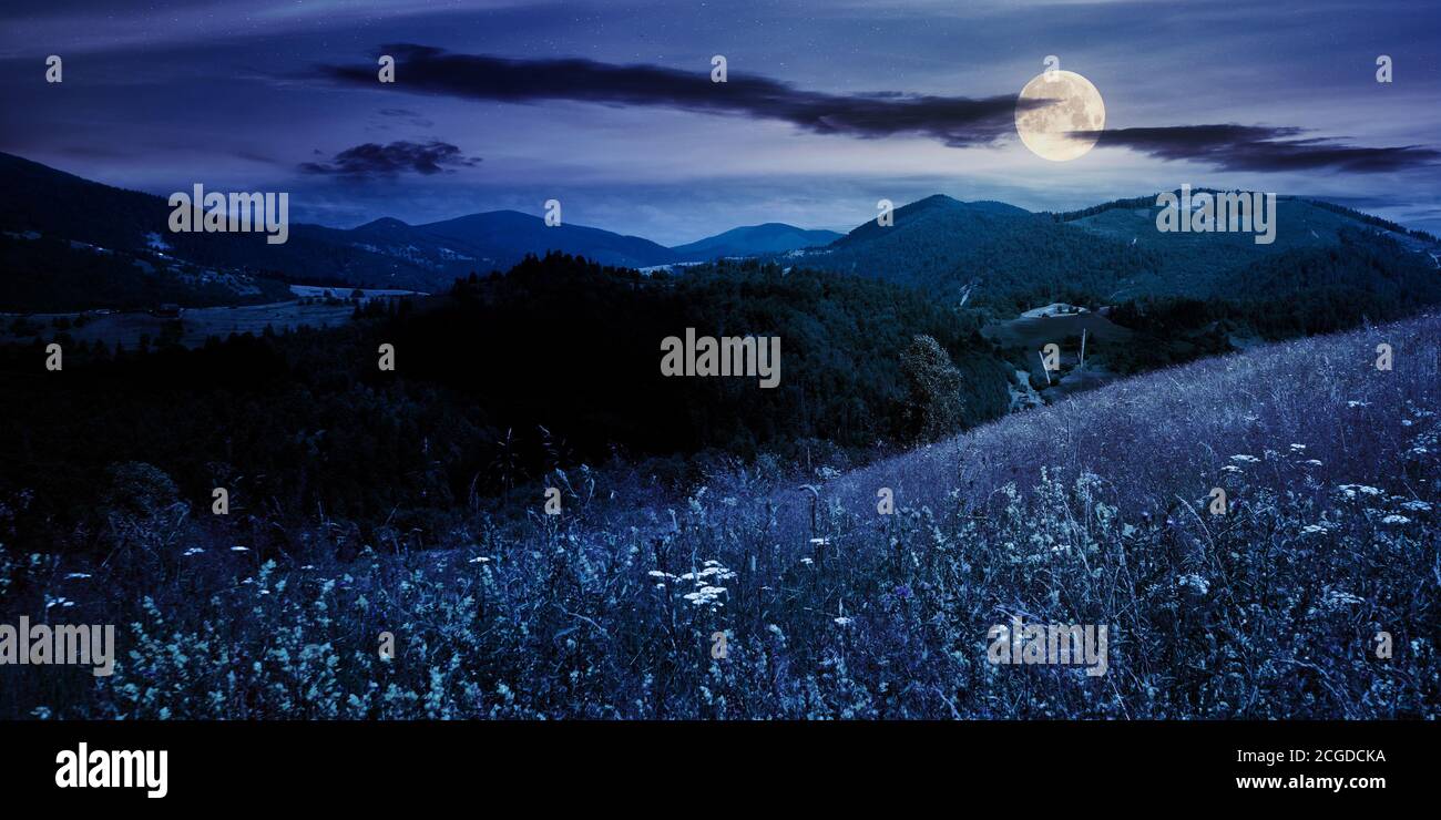 pascolo in una giornata di sole in montagna di notte. meraviglioso paesaggio di campagna dei carpazi in piena luce lunare. nuvole soffici sul cielo Foto Stock