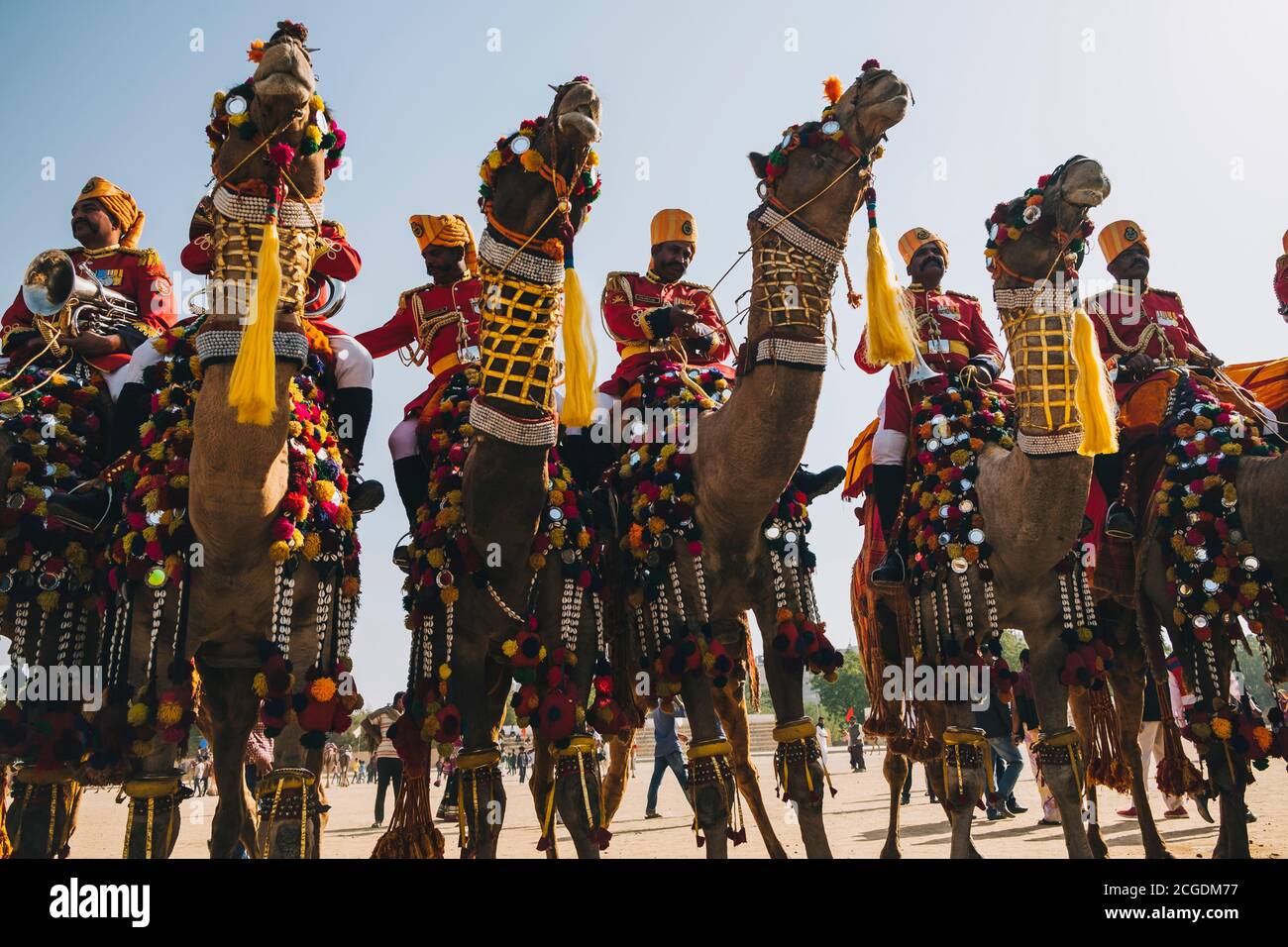 Gruppo di cammelli decorati con i loro cavalieri Rajasthani Il Festival del deserto di Jaisalmer Foto Stock