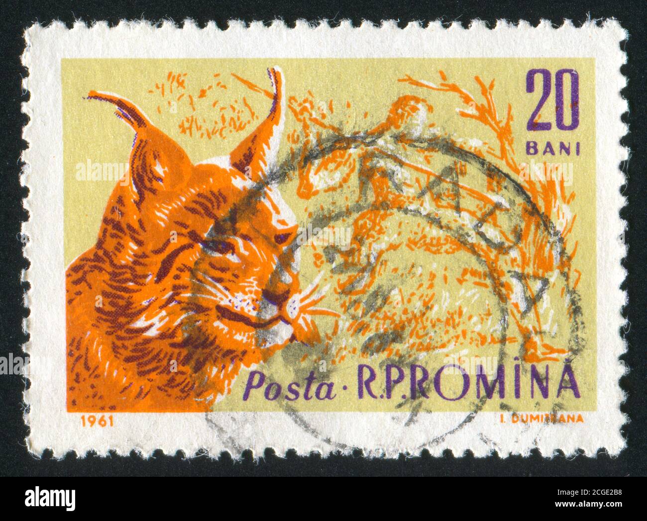 ROMANIA - CIRCA 1961: Francobollo stampato dalla Romania, mostra Lynx e Cacciatore Preistorico, circa 1961. Foto Stock