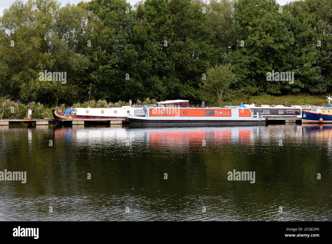 Chiatte ormeggiate sul fiume Trent a Holme Pierrepont, Nottingham, Nottinghamshire, Inghilterra Foto Stock