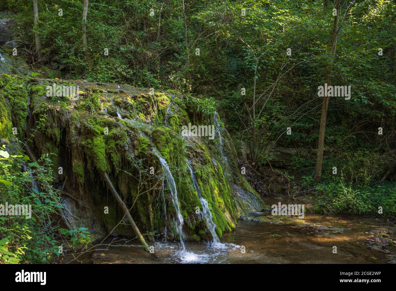 Foto di una cascata nei boschi del Natural Bridge state Park in Virginia. Foto Stock
