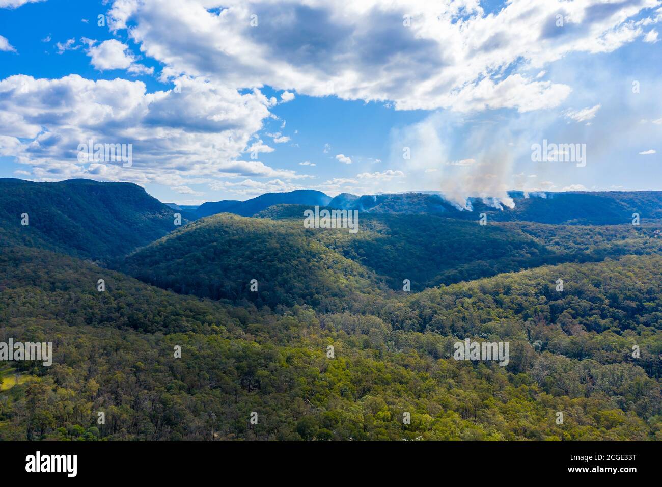Un piccolo fuoco di funghi nelle Blue Mountains nel New South Galles in Australia Foto Stock