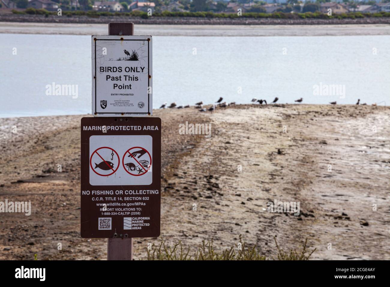 Cartello di avvertenza solo uccelli, Bolsa Chica Ecological Reserve, Orange County, California, Stati Uniti Foto Stock