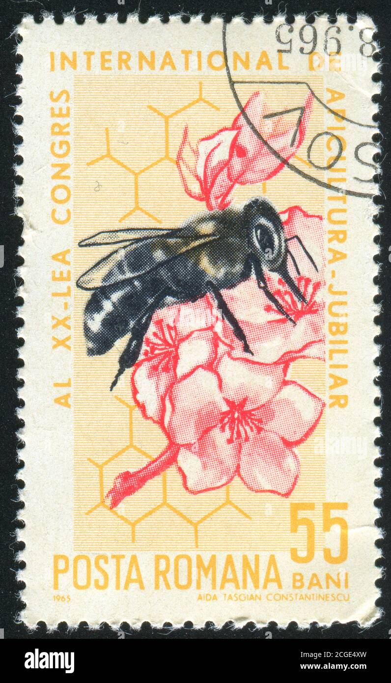 ROMANIA - CIRCA 1965: Francobollo stampato dalla Romania, mostra Bee e Blossoms, circa 1965 Foto Stock