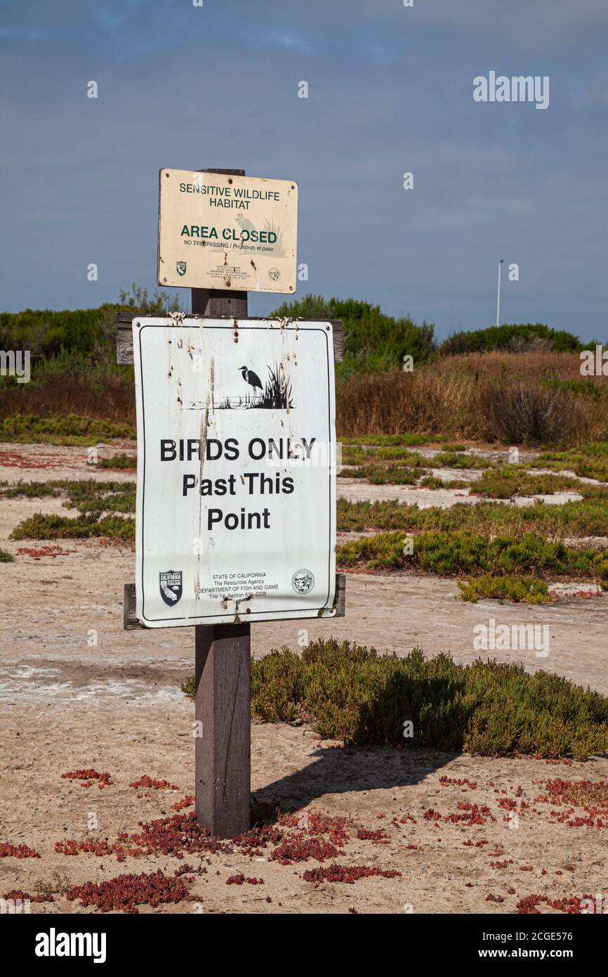 Cartello di avvertenza solo uccelli, Bolsa Chica Ecological Reserve, Orange County, California, Stati Uniti Foto Stock