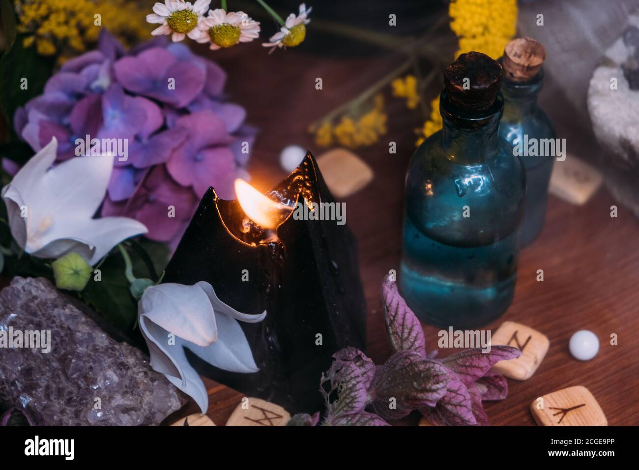 Bottiglia di pozione magica. Concetto di halloween stregoneria con pozioni, erbe e attrezzature occulte. Magica natura morta con spazio di copia su sfondo scuro. Foto Stock