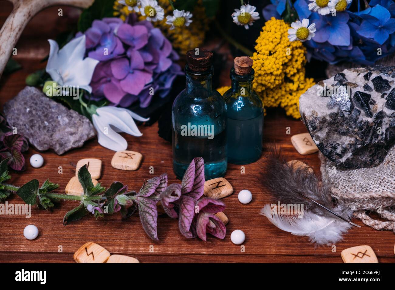 Bottiglia di pozione magica. Concetto di halloween stregoneria con pozioni, erbe e attrezzature occulte. Magica natura morta con spazio di copia su sfondo scuro. Foto Stock