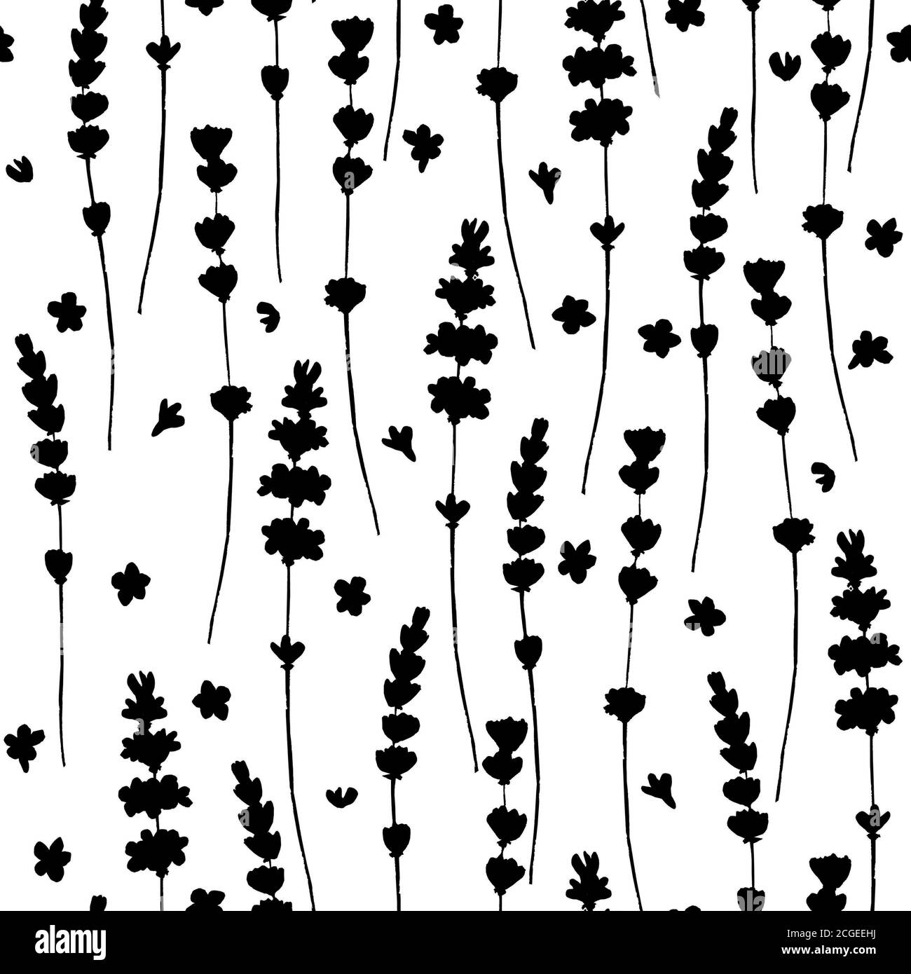 Silhouette nere con fiori di lavanda motivo senza cuciture su sfondo bianco. Texture floreale disegnata a mano. Stampa per tessuto, carta da parati, confezionamento, invito Foto Stock