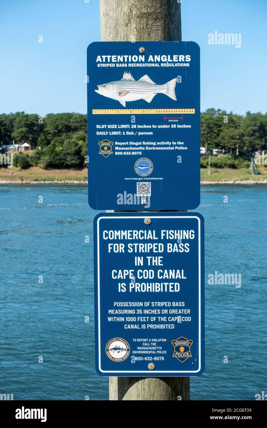 I pescatori firmano per la pesca del basso a strisce regolamento ricreativo di 28-35 pollici di taglia & 1 limite giornaliero di pesce su Cape Cod Canal, Bourne, Massachusetts Foto Stock