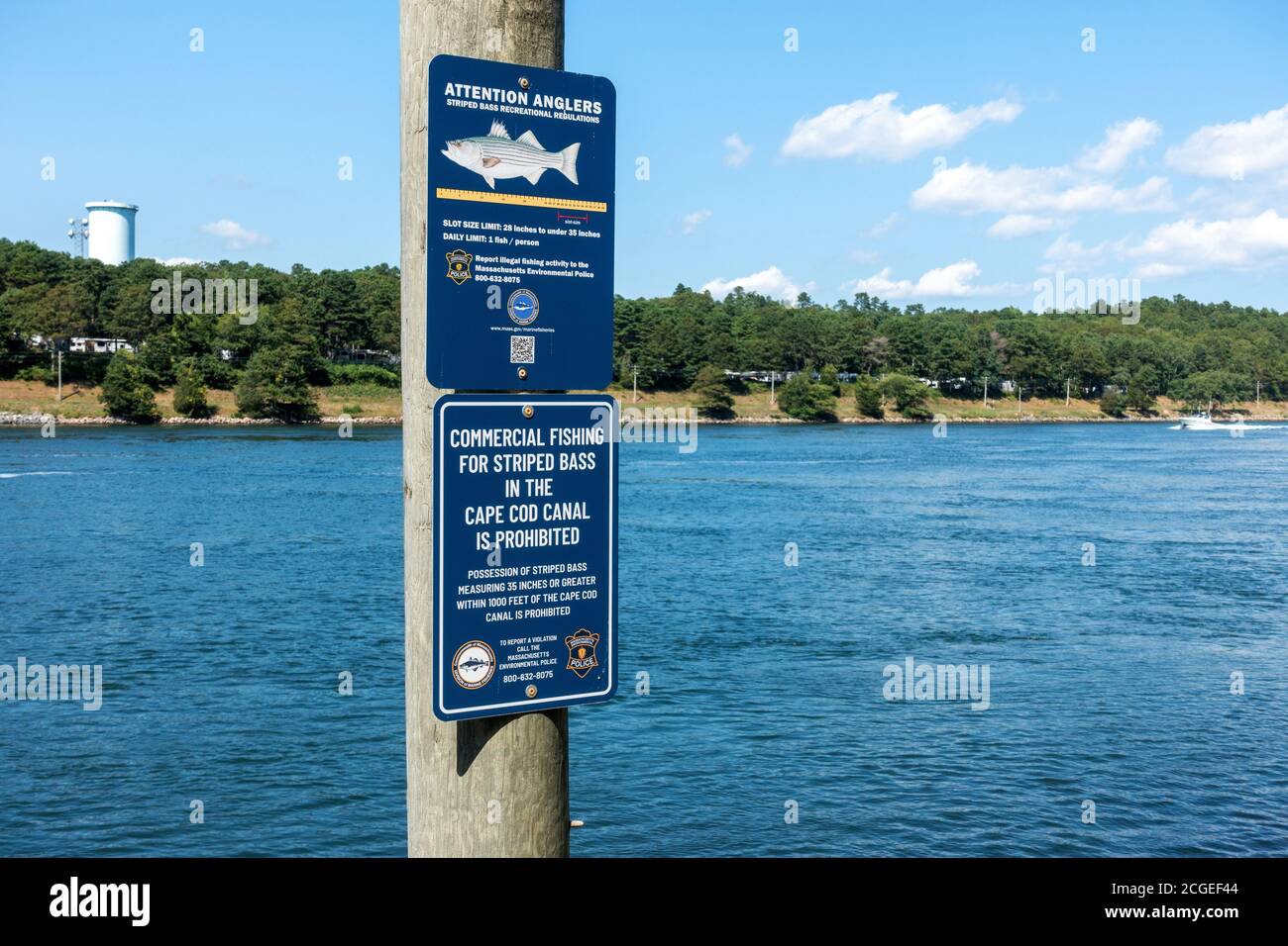I pescatori firmano per la pesca del basso a strisce regolamento ricreativo di 28-35 pollici di taglia & 1 limite giornaliero di pesce su Cape Cod Canal, Bourne, Massachusetts Foto Stock