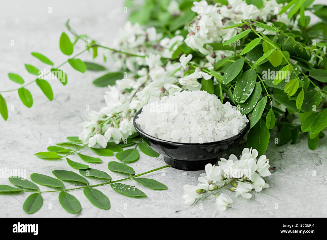 salate il mare in un vaso di porcellana nera in un lussureggiante bouquet fresco di acacia bianca in fiore. Prodotti naturali cosmetici e termali, cura della pelle Foto Stock