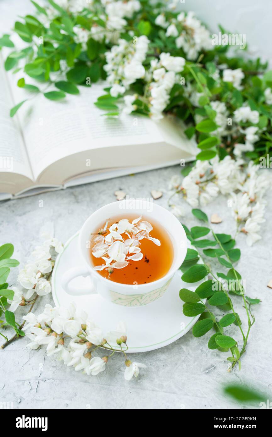 Tè bianco di fiori di acacia in una tazza bianca di porcellana su un fondo bianco di cemento con rami fioriti lussureggianti di un albero di acacia e libro bianco spesso, noi Foto Stock