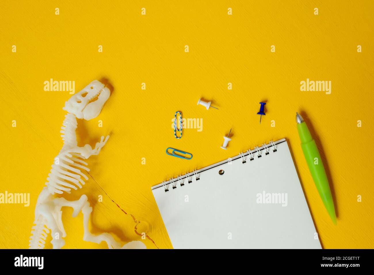 Scheletro di dinosauro bianco in plastica, blocco note, graffette e penna. Set per lo studio e la descrizione di scavi di dinosauri e animali antichi Foto Stock