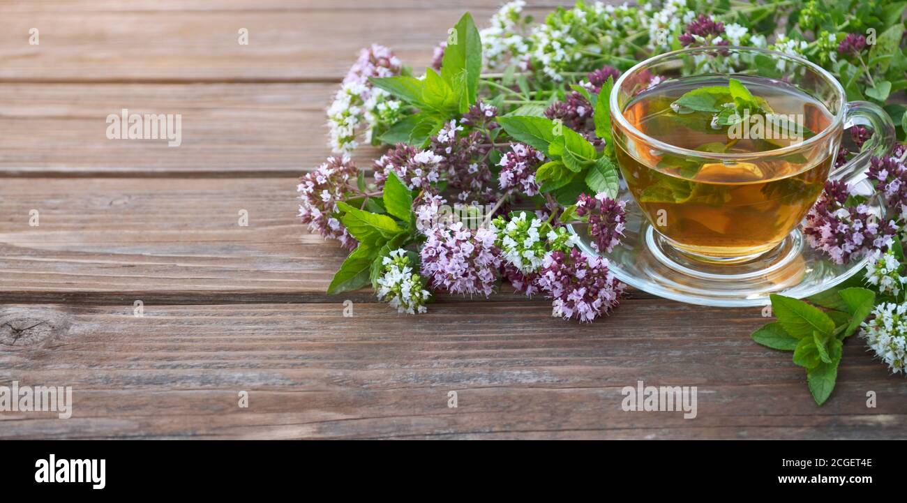 Tè alle erbe appena fatto in una tazza di vetro con menta e fiori freschi di origano su un tavolo di legno con spazio copia. Trattamento a base di erbe. Foto Stock