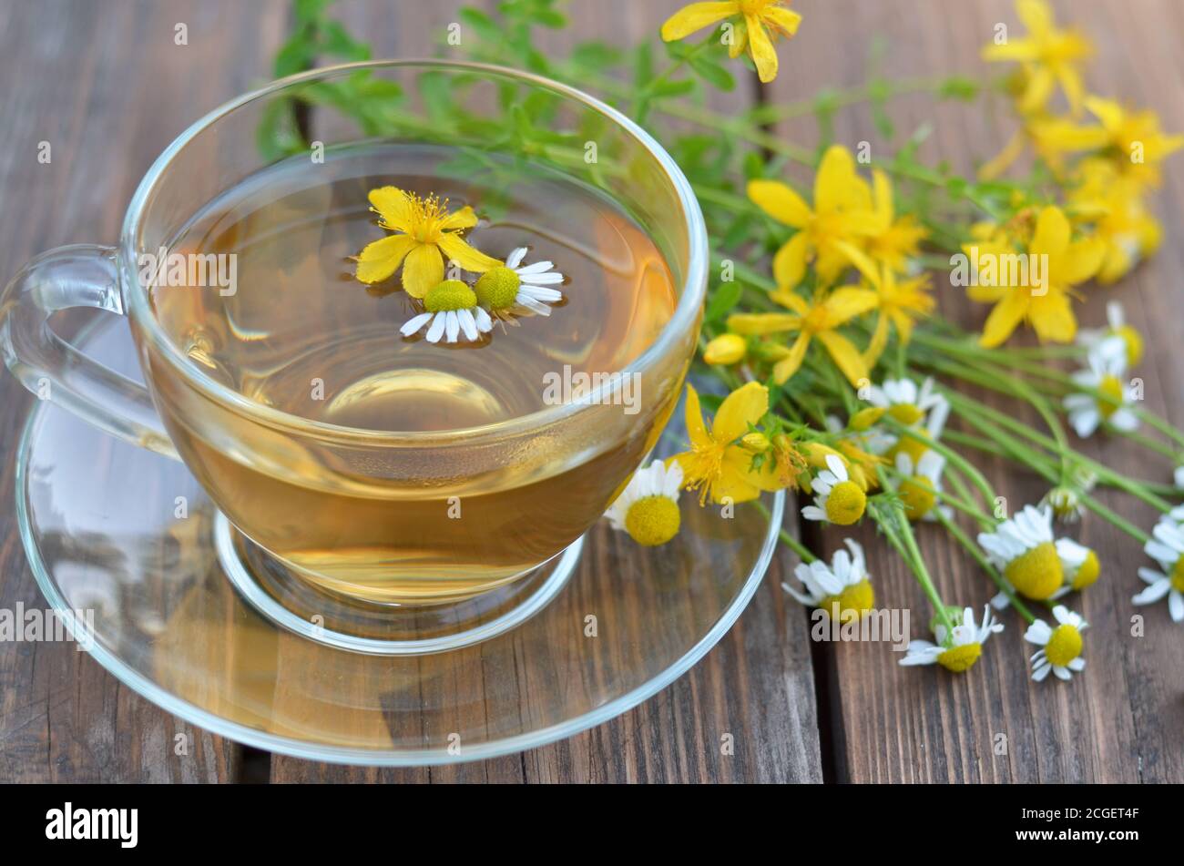 Tè dell'erba di San Giovanni appena fatto con camomilla in una tazza di vetro e fiori freschi su un tavolo di legno da vicino. Concetto di tè sano Foto Stock