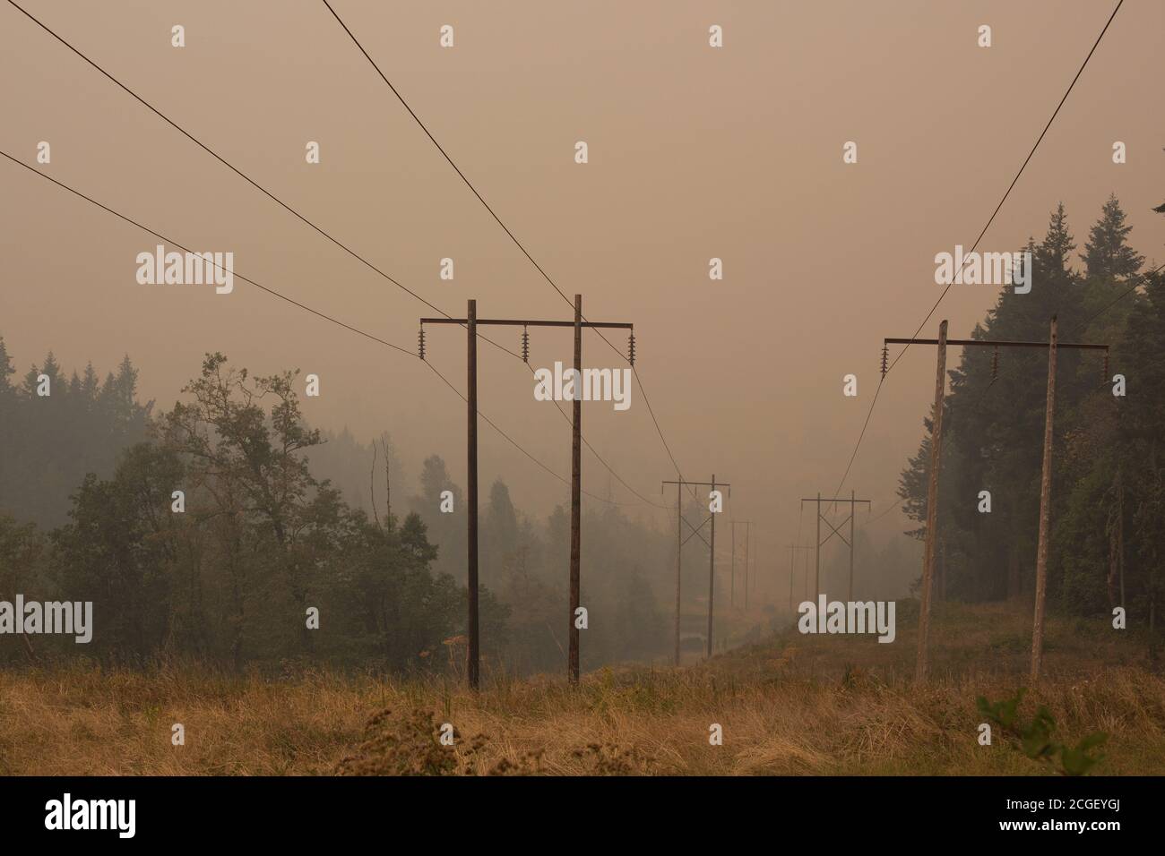 Linee elettriche nel fumo spesso proveniente dai vicini incendi di Eugene, Oregon, USA. Foto Stock