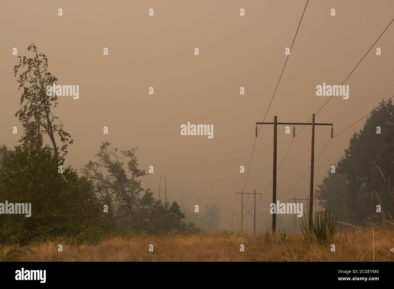 Linee elettriche nel fumo spesso proveniente dai vicini incendi di Eugene, Oregon, USA. Foto Stock