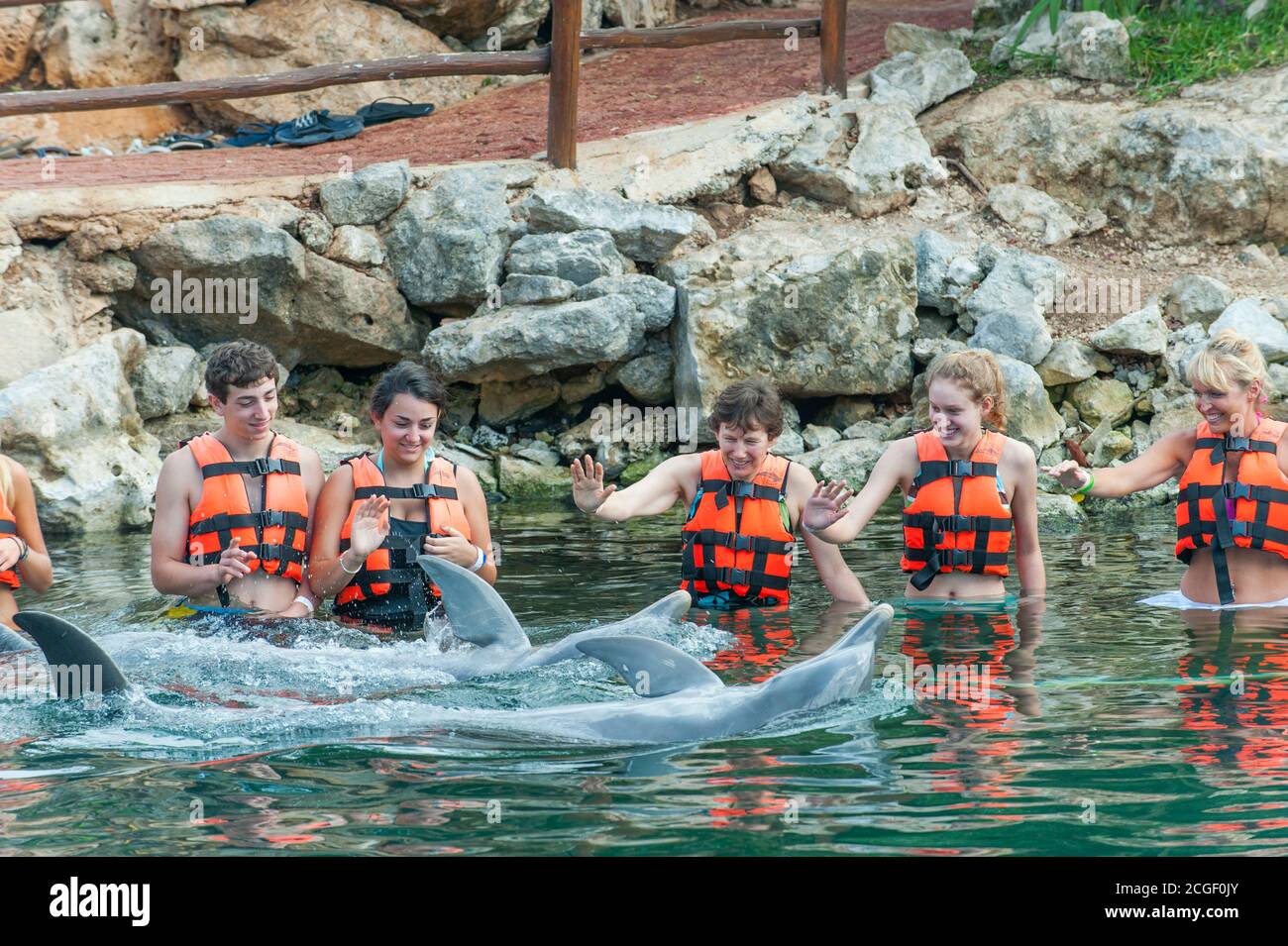 La nuotata con il programma di delfini tursiopi presso il Dolphin Discovery Puerto Aventuras sulla Riviera Maya vicino a Cancun, nello stato di Quintana Roo, M. Foto Stock