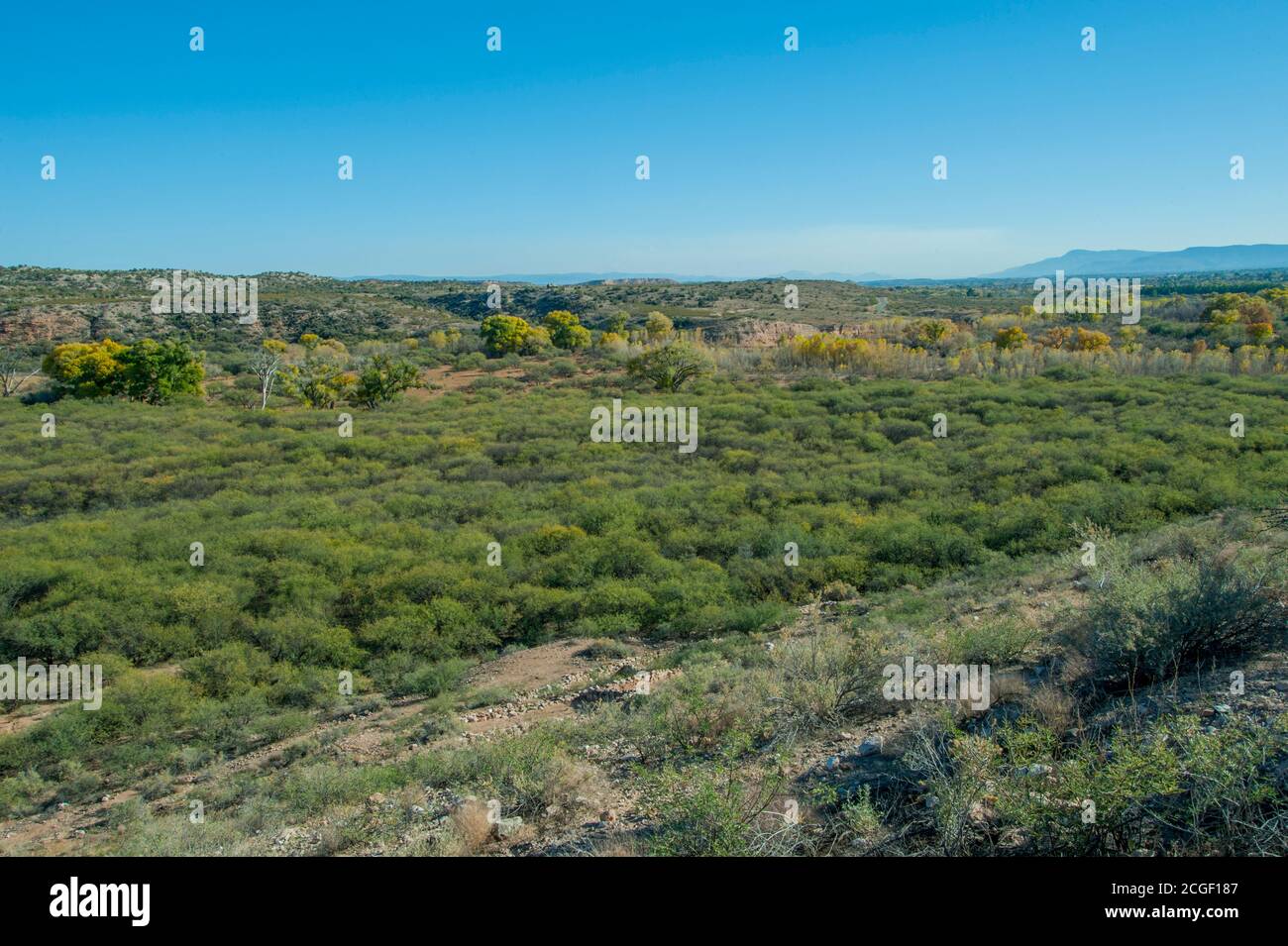 Vista della pianura alluvionale del fiume Verde dalle rovine di pueblo (costruito tra il 1125 e il 1400) Dal popolo Sinagua al monumento nazionale di Tuzigoot il Foto Stock